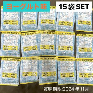 【GAVIC】ジュニアプロテイン　15袋SET 【ヨーグルト味】ガビック　ザバス　ソイプロテイン　ポイント消化　スポーツ