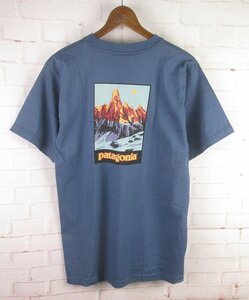 LST8697 90s 後期 PATAGONIA パタゴニア Tシャツ ベネフィシャル S デッドストック ブルー系
