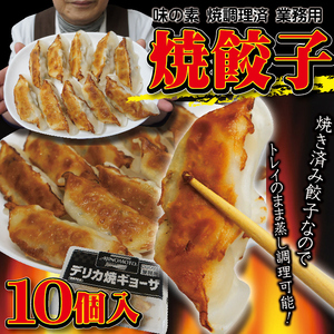 デリカ焼ギョーザ（焼調理済）２４ｇ×１０個入 味の素　業務用　トレー入りで調理も簡単 【餃子】【ぎょうざ】