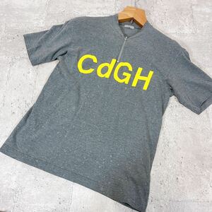 00s COMME des GARCONS HOMME AD2001 ドリップ ペイント CdGH Tシャツ ハーフジップ コムデギャルソン オム ロゴ ペンキ 半袖 カットソー