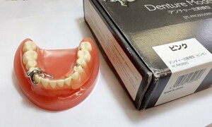 送料込み　未使用品　NISSIN PE―PRO005 デンチャー比較模型　denture model 歯科　歯科技工　自費　ニッシン