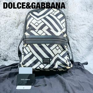 【新品タグ付き】　ドルチェアンドガッバーナ DOLCE&GABBANA ドルガバ D&G リュック バックパック メンズ ビジネス レザー　ナイロン 総柄