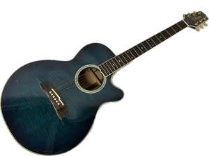 Takamine NPT-110 エレキアコースティックギター エレアコ 割れあり 楽器 タカミネ ジャンク S8834550