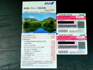 ◆全日空(ANA)株主優待券2枚◆有効期限:2025年5月31日迄有効◆「ANAグループ優待券付」送料無料(クリックポスト)