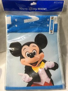 東京ディズニーリゾート　ロングフェイスタオル　ミッキーマウス　プルート　新品　未使用品