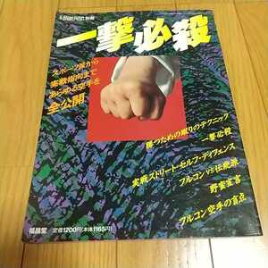 一撃必殺 月刊空手道別冊 福昌堂 1995年4月発行 カラテ 武道 雑誌 中古 0200019