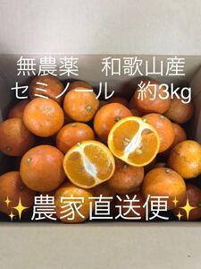 【訳あり品　無農薬　和歌山産　セミノール 3kg 農家直送便】