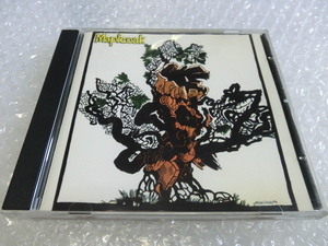 ★即決CD Maple Oak 英国 フォーク・ロック パブロック 1971年 名盤 検索) Bruce Cockburn Peter Quaife The Kinks Brinsley Schwarz