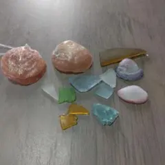 貝殻とグラスシード