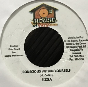 [ 7 / レコード ] Sizzla / Conscious Within Yourself ( Reggae / Dancehall ) House Of Hits Records ダンスホール レゲエ 