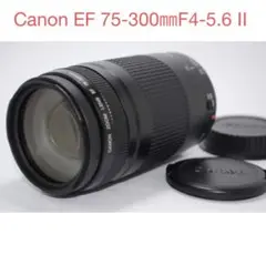 望遠レンズ/キャノン/Canon EF 75-300㎜F4-5.6 Ⅱ