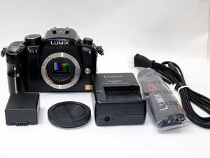 赤外撮影用改造機 パナソニック Panasonic Lumix DMC-G1 バッテリー 充電器付 ローパス・赤外カットフィルター除去 無限撮影AF可能 #01