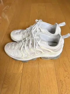 NIKE Vapor Max Plus ヴェイパー マックス プラス