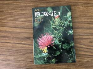 野に咲く花1　山渓カラーガイド /39B