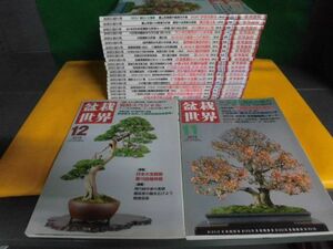 盆栽世界　2009年1月〜12月号の9なし11冊/ 2010年1月〜12月号の1年分12冊 計23冊セット