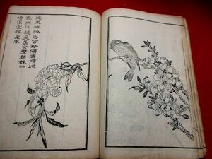 a671◇ 書画同珍2巻揃　合本　絵本　絵手本　中国　漢画　和本 古書 古文書