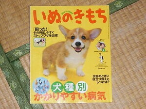 いぬのきもち2009.9月号 犬種別かかりやすい病気 付録なし