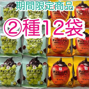 【②種12袋】　チョコっとグミ　沖縄県産マンゴー味　シャインマスカット味