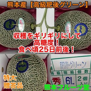 熊本産 最高級メロン肥後グリーン【贈答品特大6L 2玉約5.5〜6k箱込】熊本フルーツ堂3