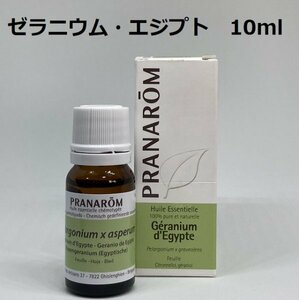 ゼラニウム・エジプト 10ml プラナロム PRANAROM アロマ 精油　ゼラニウムエジプト　