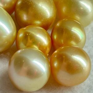 ［ゴールデンパールおまとめ］M 50g/250ct 約10-19mm珠 pearl パール 南洋白蝶 本真珠 jewelry 裸石 宝石 golden pearl
