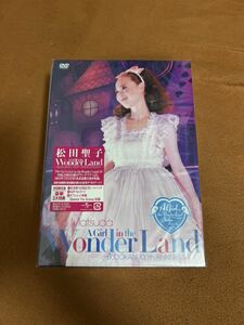 正規品　当時物　松田聖子　SEIKO MATSUDA CONCERT TOUR 2013A Girl in the Wonder Land~BUDOKAN 100th ANNIVERSARY~(数量限定版) DVD 希少