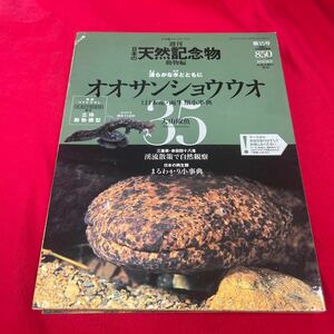 Y430. 20. 週刊 日本の天然記念物 35 号　オオサンショウウオ 海洋堂　　未開封　保管品