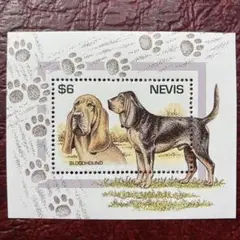 50117セール現品限り　外国切手未使用　ネヴィス発行犬小型シート