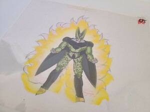 DRAGON BALL　セル画　直筆動画付き　検　鳥山明　ドラゴンボール