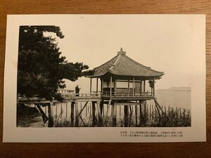 ■送料無料■ 堅田 浮御堂 琵琶湖 神社 寺 建築物 建物 近江 滋賀県 風景 景色 絵葉書 写真 印刷物/くNAら/EE-9898