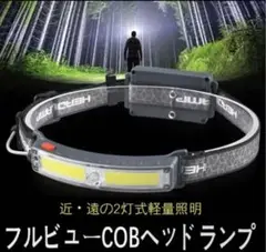 ヘッドライト LED usb-c充電式 防水 釣り登山作業防災  停電対策F/9