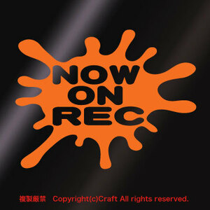 NOW ON REC ステッカー/オレンジ13cm/スプラッシュ/ドラレコ,ドライブレコーダー//