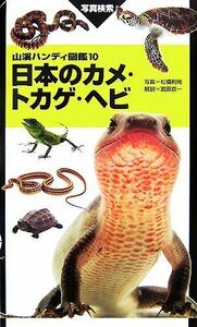 山系ハンディ図鑑　日本のカメ、トカゲ、ヘビ　　(爬虫類 亀 蛇 ウミガメ カミツキガメ スッポン ヤモリ カナヘビ ハブ ウミヘビ