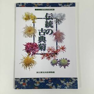 伝統の古典菊 くらしの植物苑 特別企画 国立歴史民俗博物館【ta04a】