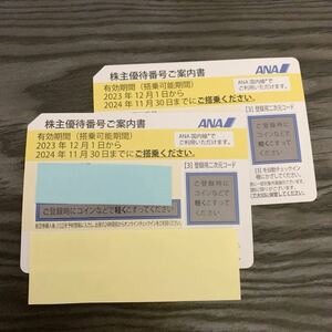 全日空　ANA 株主優待券　2枚　2024/11/30まで　普通郵便送料無料