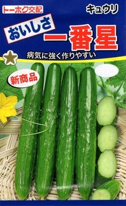 送料無料　おいしさ一番星　きゅうり　１０粒