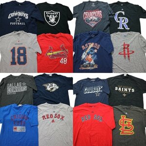 古着卸 まとめ売り プロチーム 半袖Tシャツ 16枚セット (メンズ L ) NFL MBL レッドソックス ダラスカウボーイズ MS8959 1円スタート