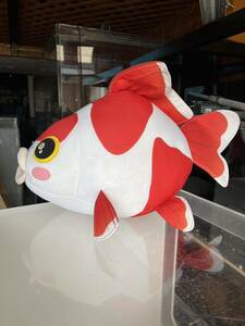 キョーリンぬいぐるみ金魚！非売品！