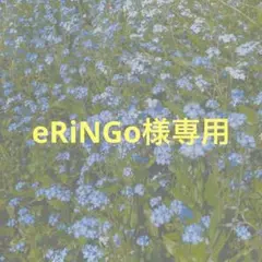 eRiNGo様専用