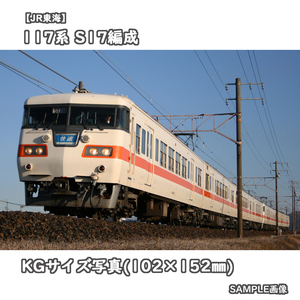 ◎KG写真【JR東海】117系電車 S17編成 ■東海色 ■快速 □撮影:東海道本線 2011/2/16［KG0558］