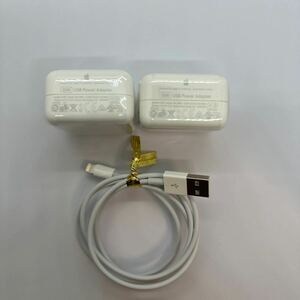 USB Power Adapter 10W 充電器 iPad付属品　ライトニングケーブル 付き Apple