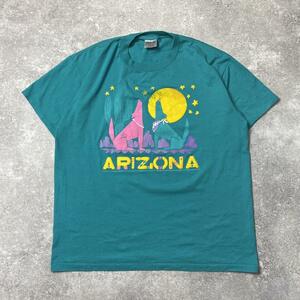 90s USA製 ARIZONA 民族 vintage T-shirts