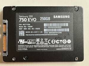 SAMSUNG【動作確認済み】SSD 250GB 0709