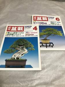 【即決】月刊 近代盆栽　KINBON　2009年4、6月号　近代出版　