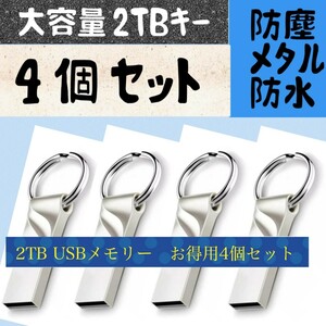 キータイプ フラッシュメモリー2TB(2000)GB×4個　防水仕様 新品未使用