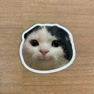【即日発送】猫ミーム ステッカー 1枚 シール 真顔