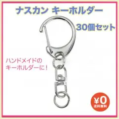 30個 ナスカン キーホルダー シルバー ハンドメイド 金具 パーツ