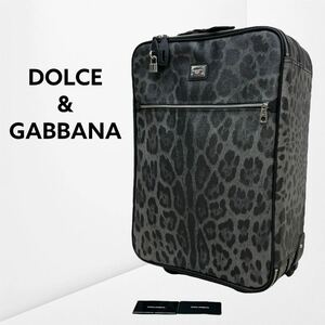 高級 DOLCE&GABBANA ドルチェ＆ガッバーナ レオパード ヒョウ柄 ロゴプレート PVCレザー トラベルバッグ キャリーバッグ キャリーケース