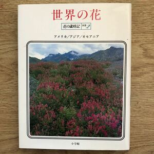 ●花の歳時記〈別巻2〉世界の花 アメリカ/アジア/オセアニア＊小学館 初版(単行本) 送料\150●