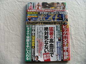 週刊ポスト 2023年 8月11日号 涼森れむ 小芝風花 南野陽子